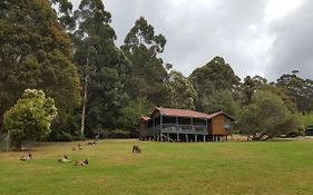Walpole Wilderness Resort
