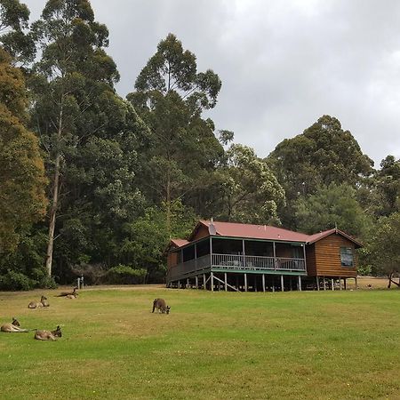 Walpole Wilderness Resort Exterior photo